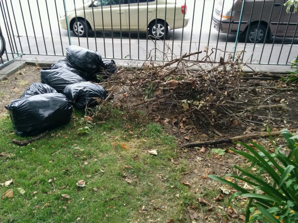 The photograph attached to this parks report