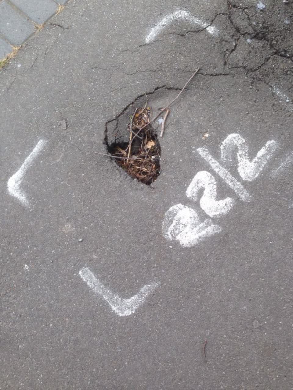 The photograph attached to this roading/streets report
