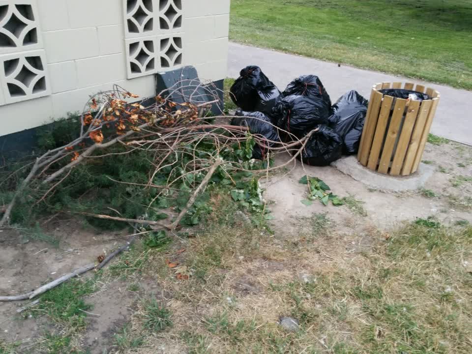 The photograph attached to this parks report