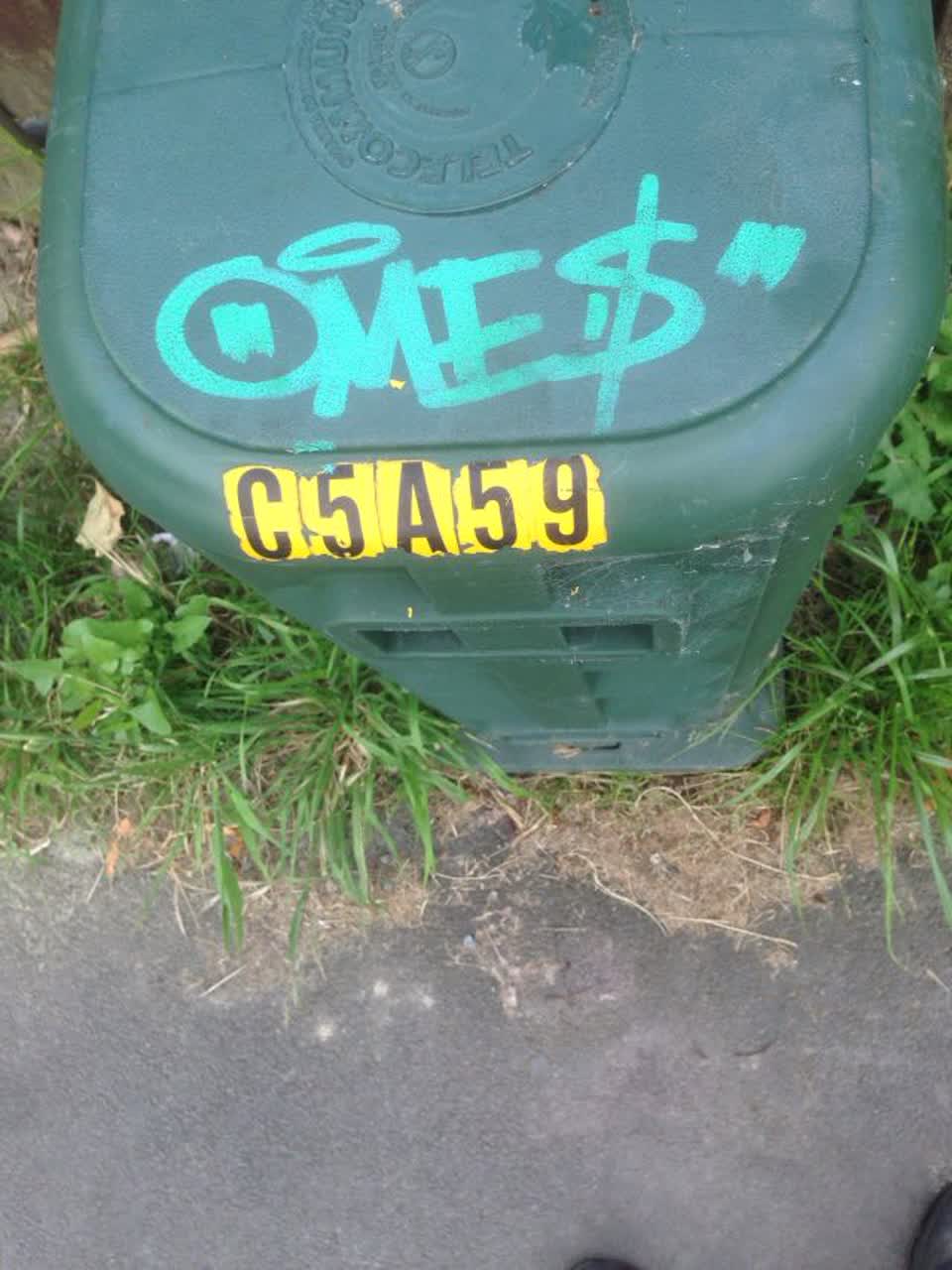 The photograph attached to this graffiti report