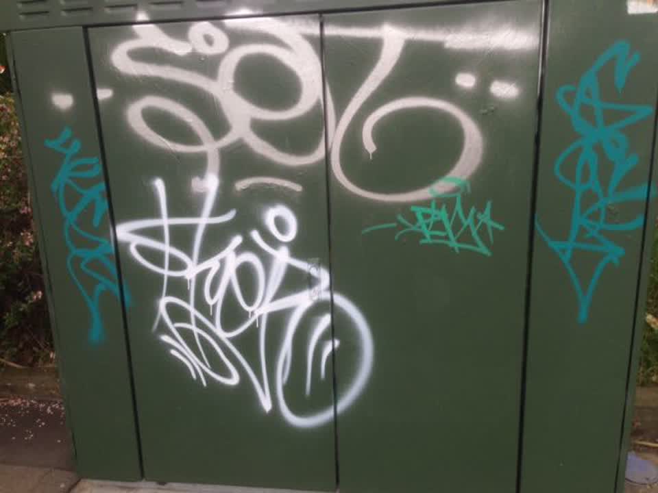The photograph attached to this graffiti report