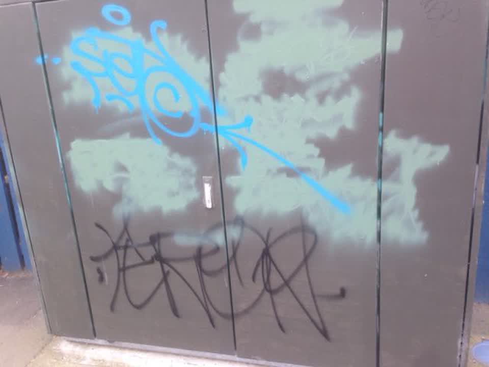 The photograph attached to this graffiti report
