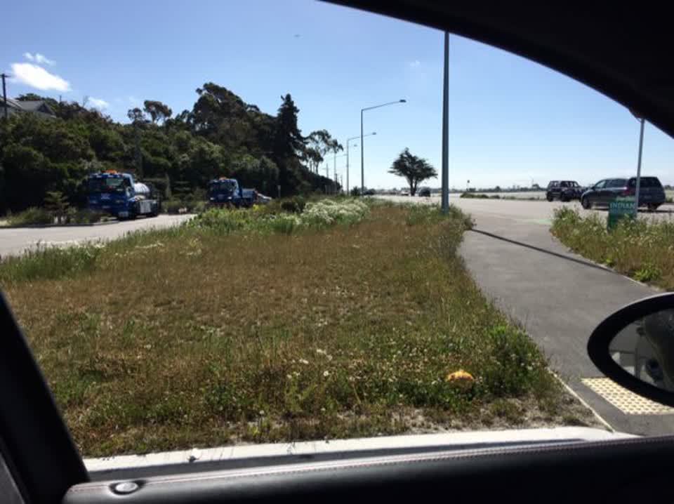 The photograph attached to this parks report