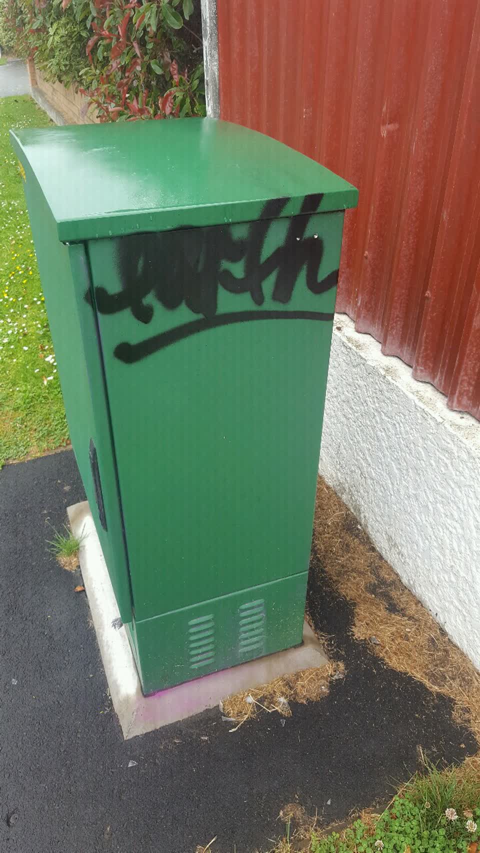 The photograph attached to this graffiti report