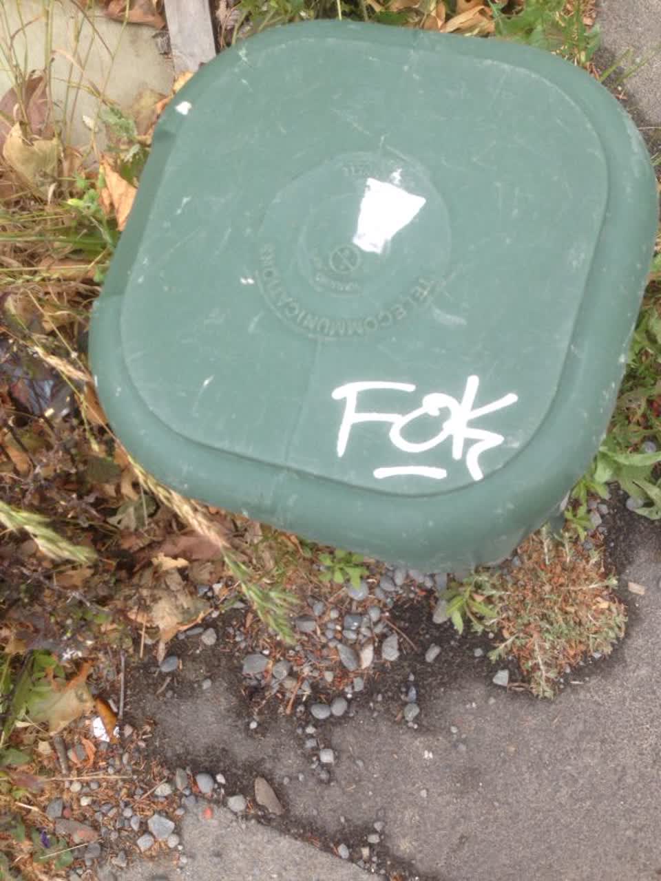 The photograph attached to this graffiti report