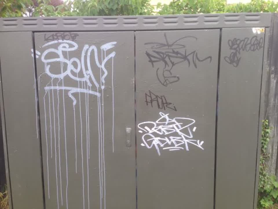 The photograph attached to this graffiti report