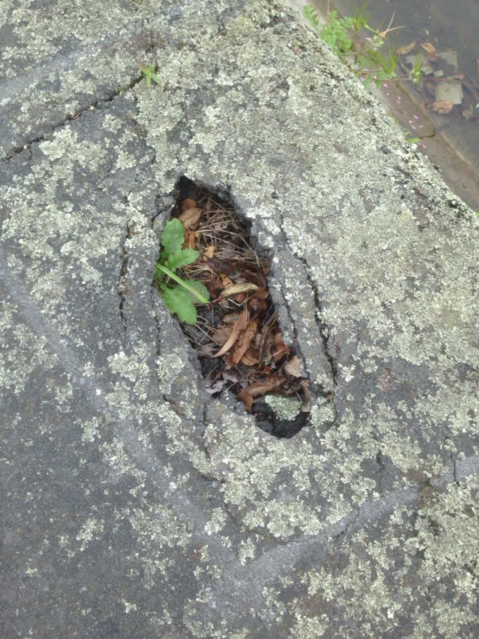 The photograph attached to this roading/streets report