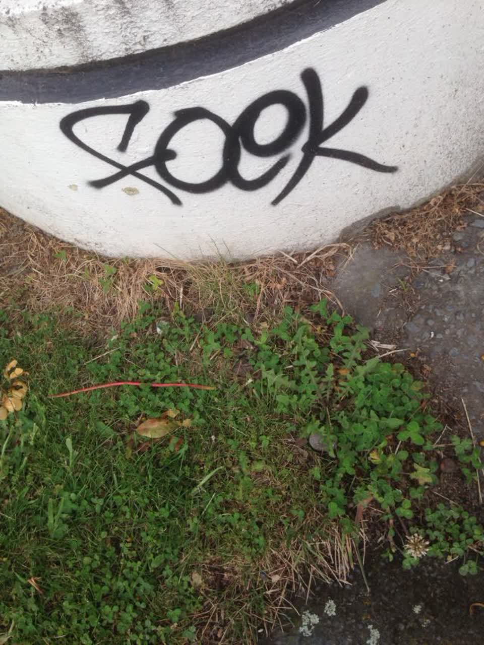 The photograph attached to this graffiti report