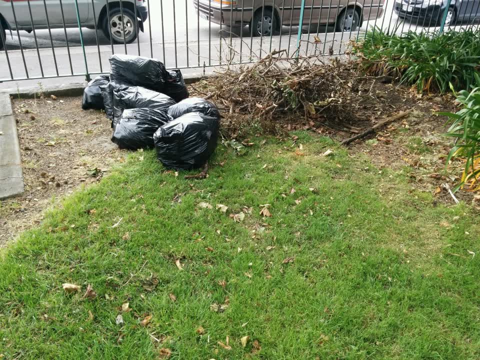 The photograph attached to this parks report