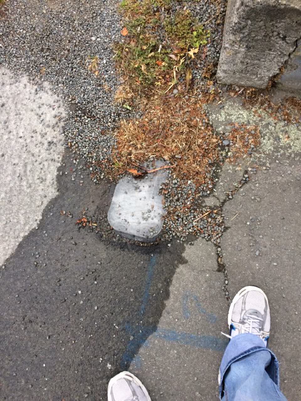 The photograph attached to this water supply report