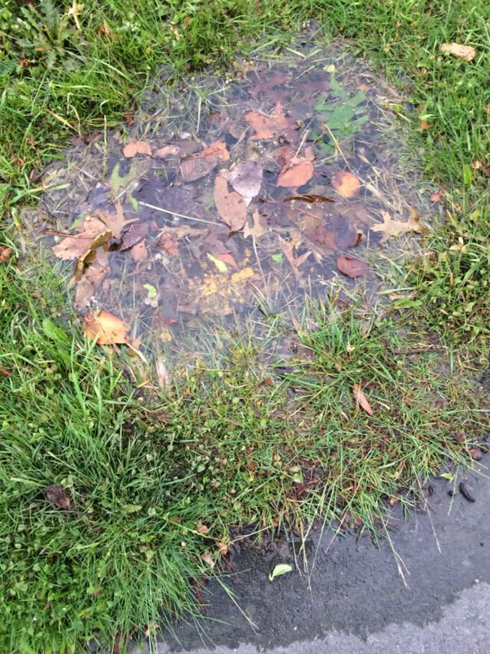 The photograph attached to this water supply report