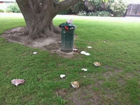 Parks, a report photo