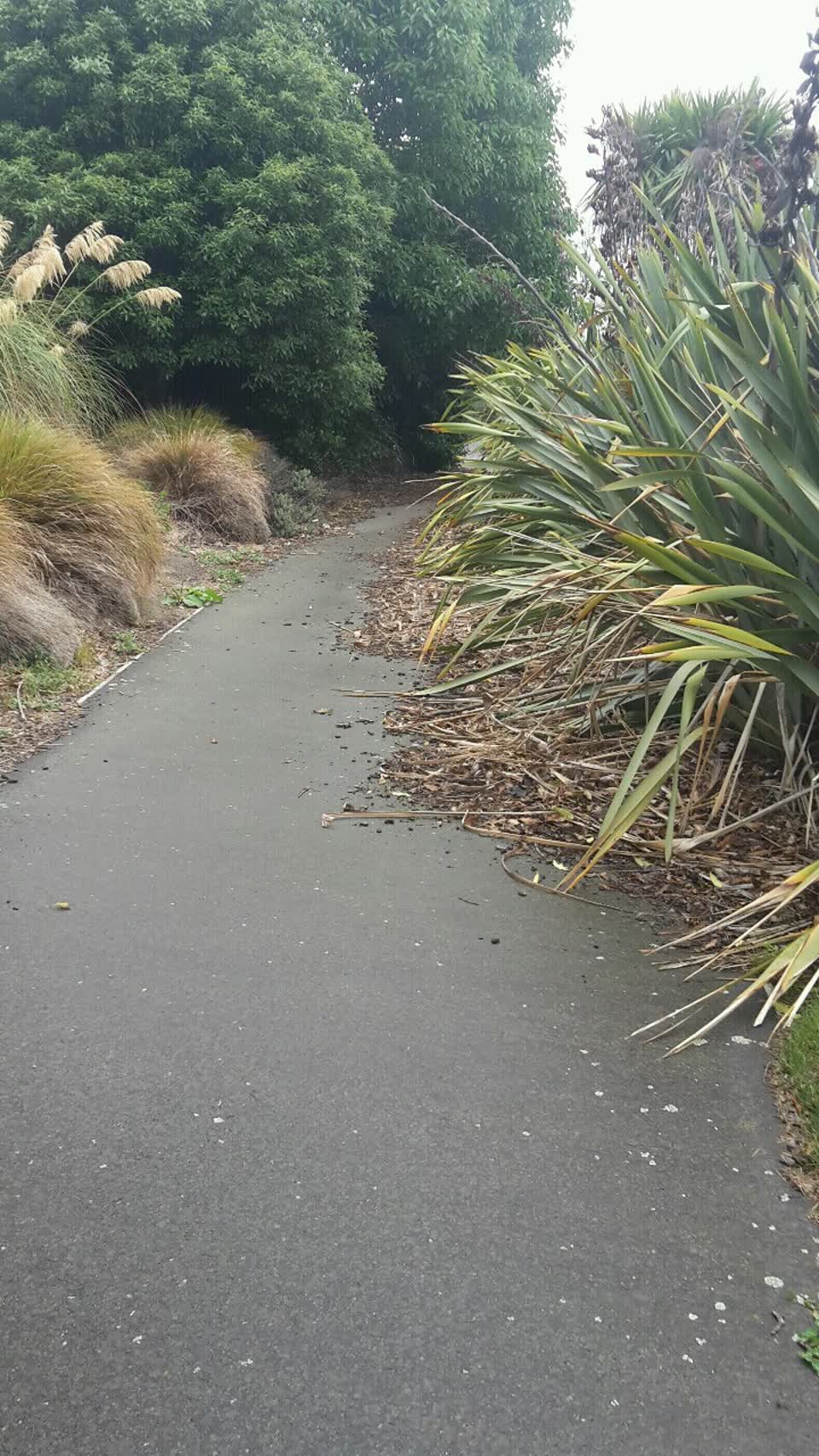 The photograph attached to this parks report