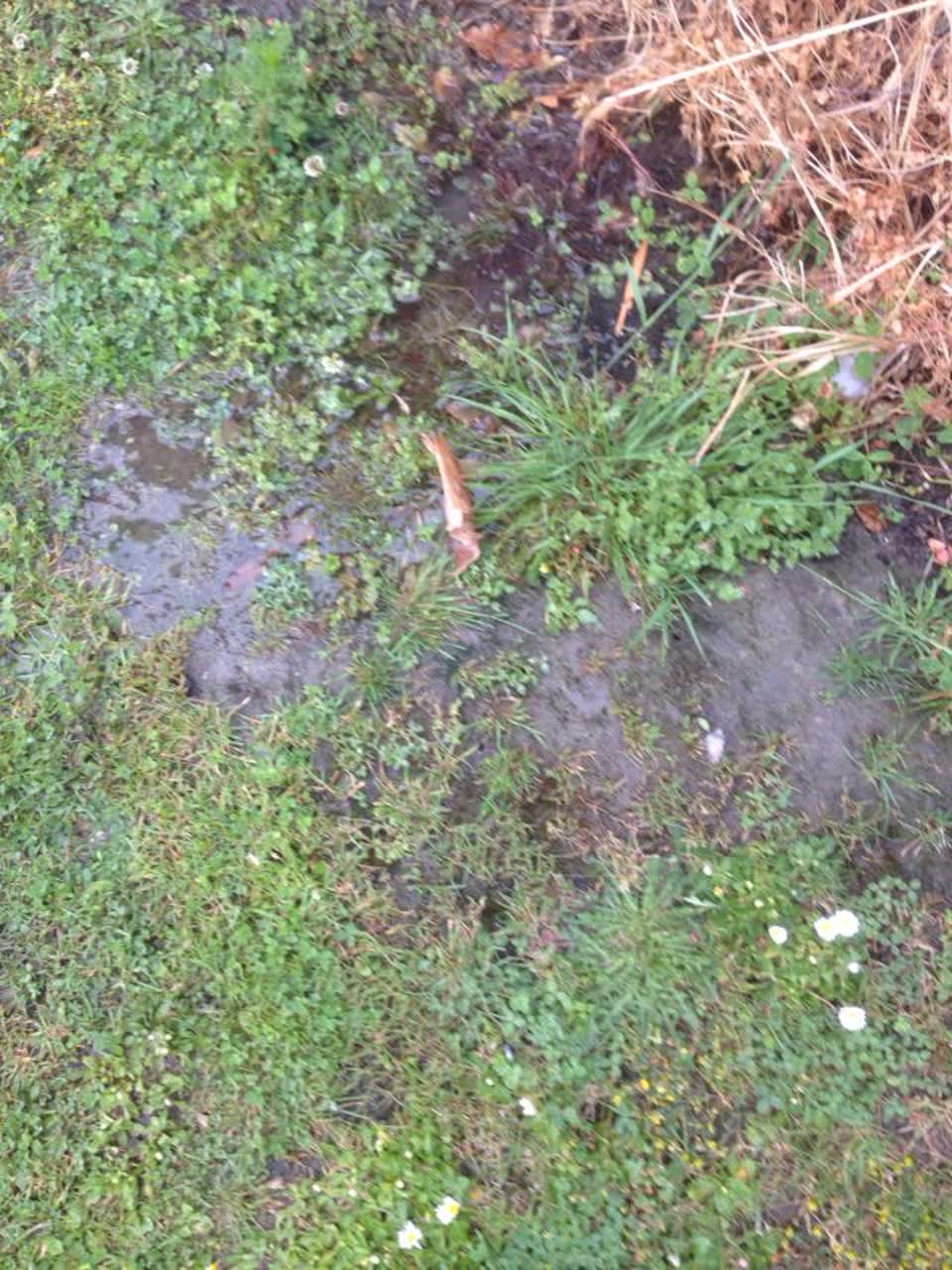 The photograph attached to this wastewater/stormwater report