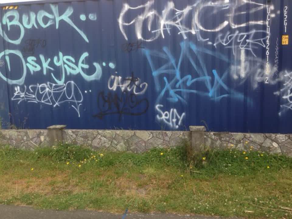 The photograph attached to this graffiti report