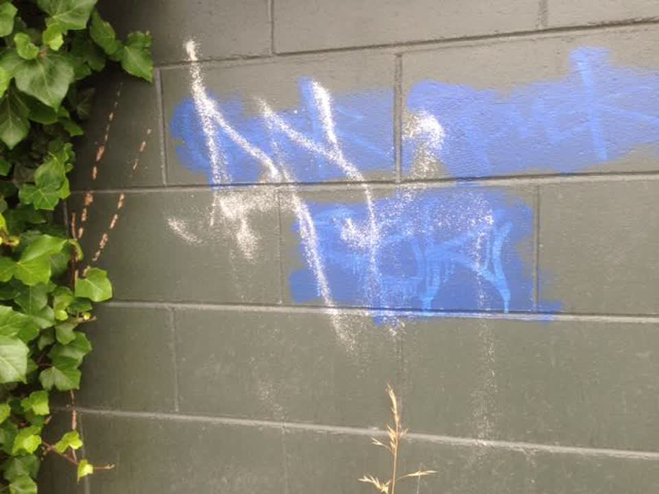 The photograph attached to this graffiti report
