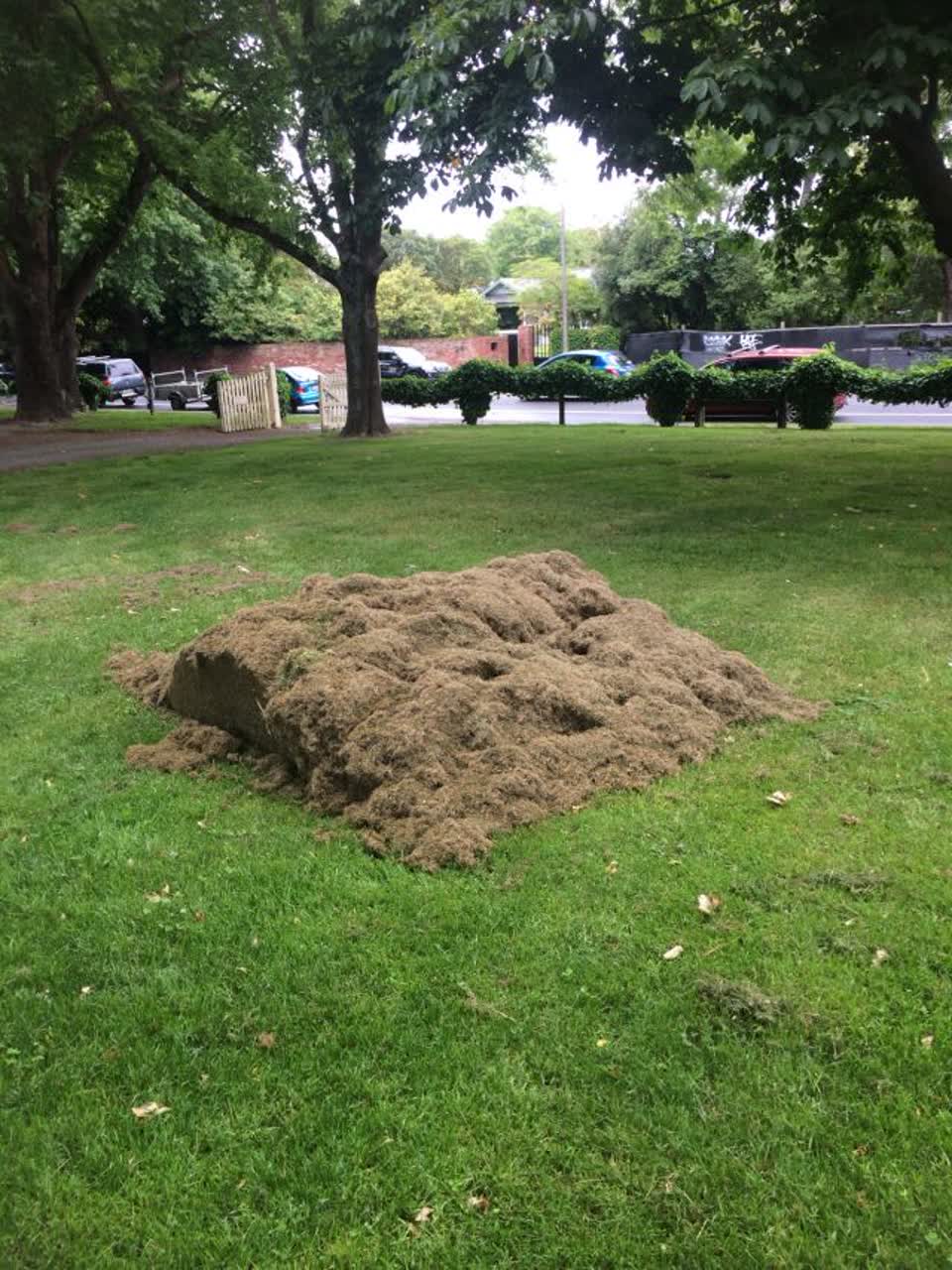 The photograph attached to this parks report