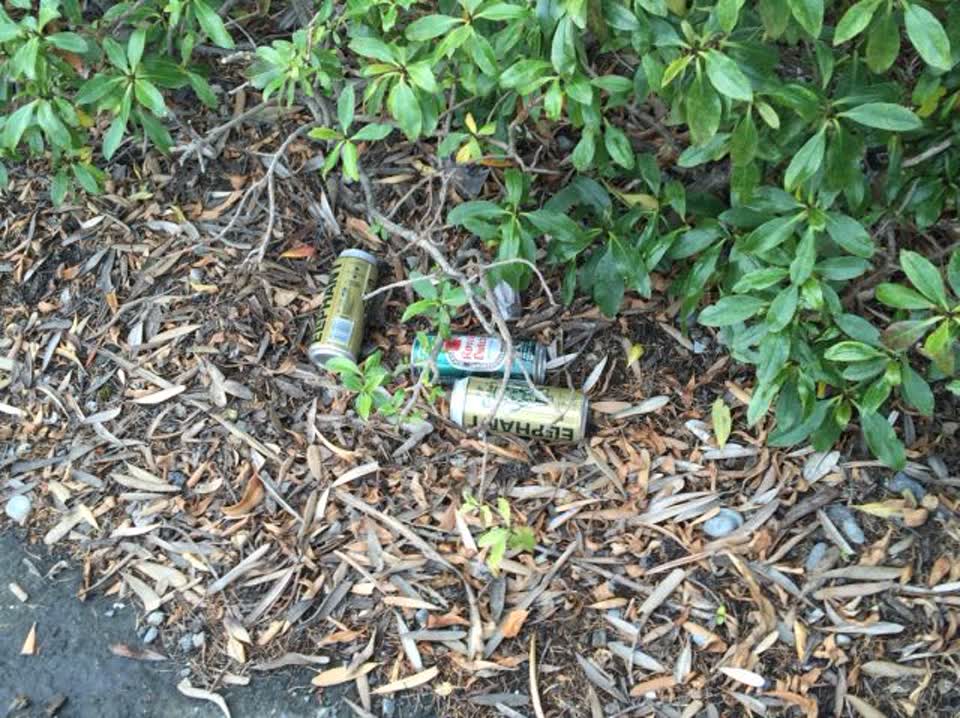 The photograph attached to this rubbish/recycling report