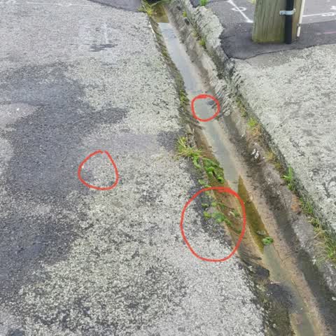 Water Supply, a report photo