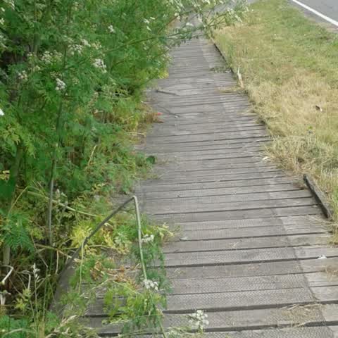 Roading/Streets, a report photo