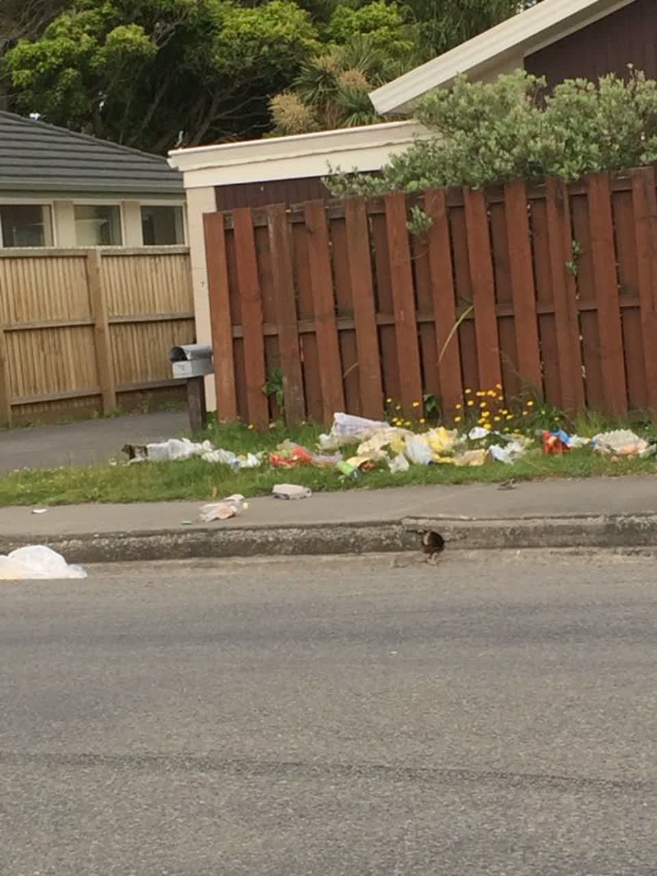 The photograph attached to this rubbish/recycling report