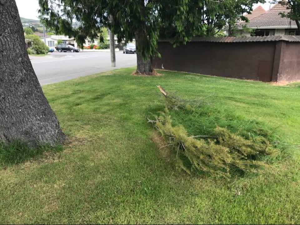 The photograph attached to this parks report