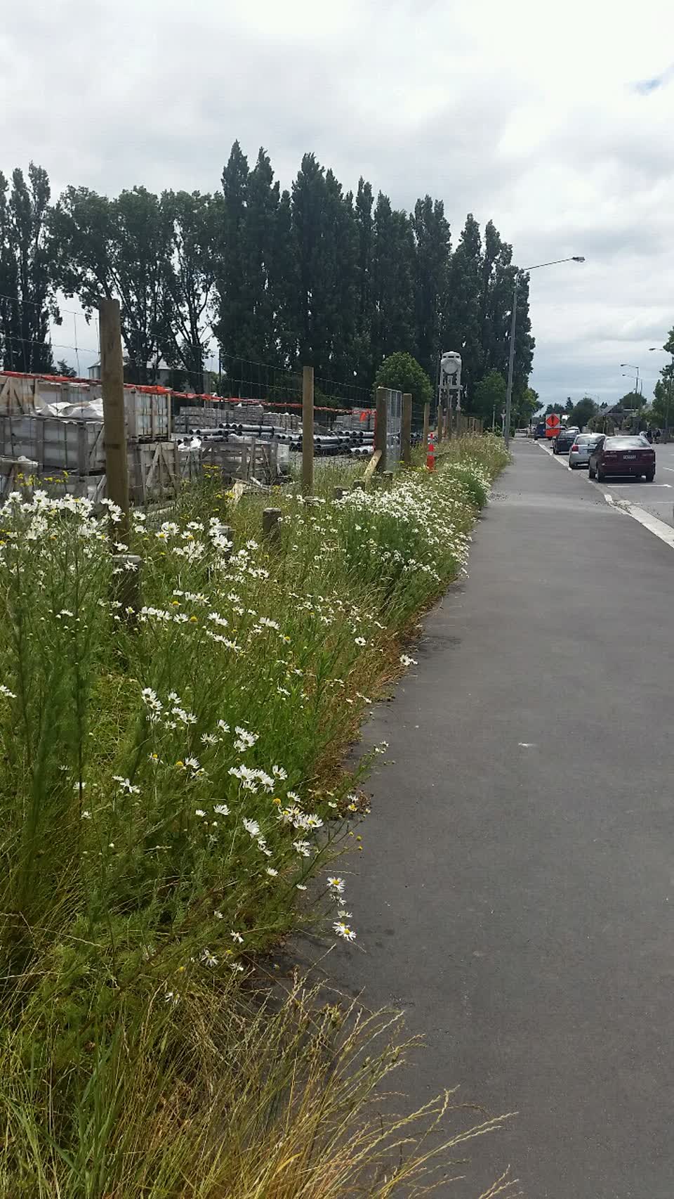 The photograph attached to this parks report
