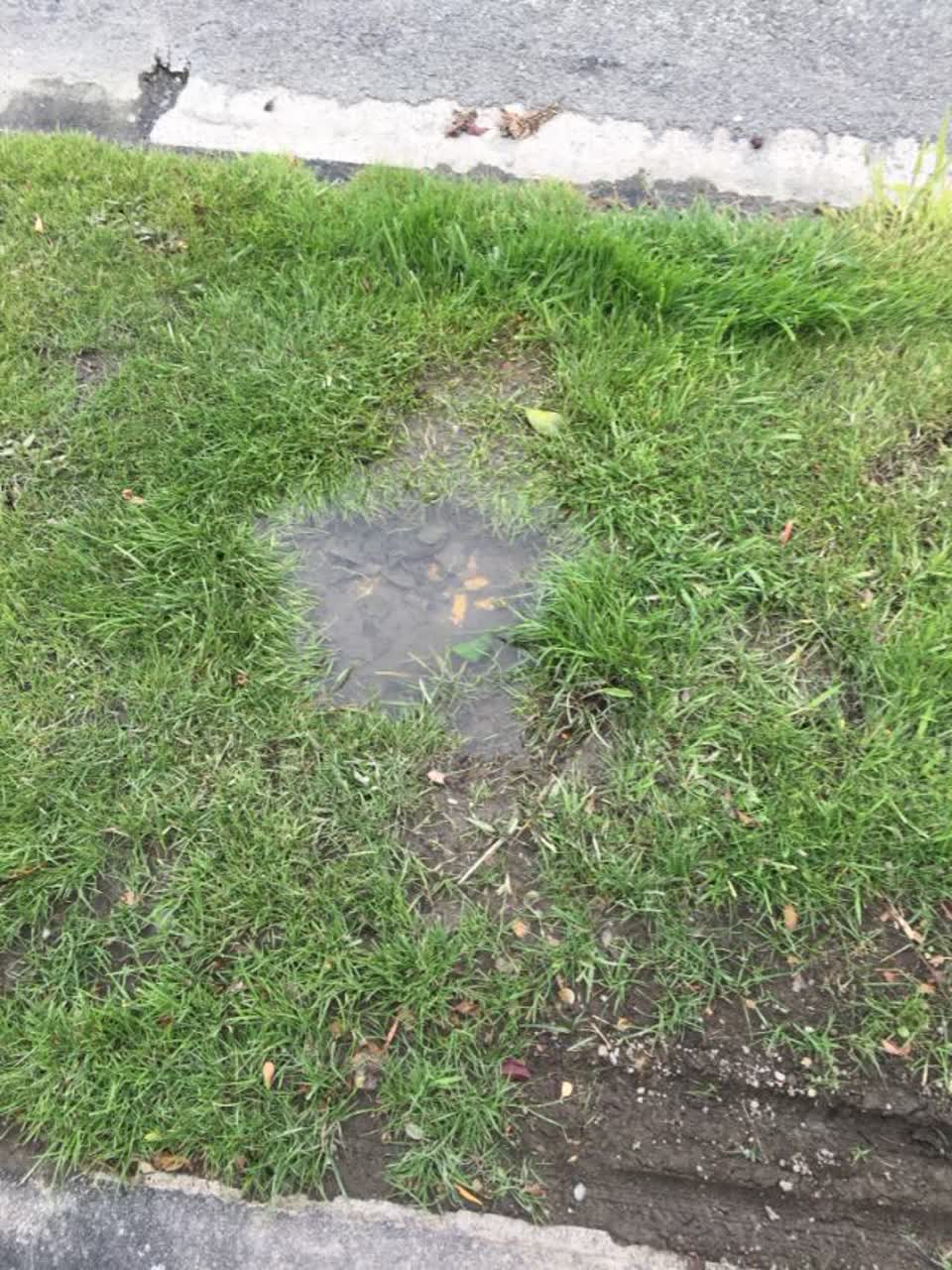 The photograph attached to this water supply report