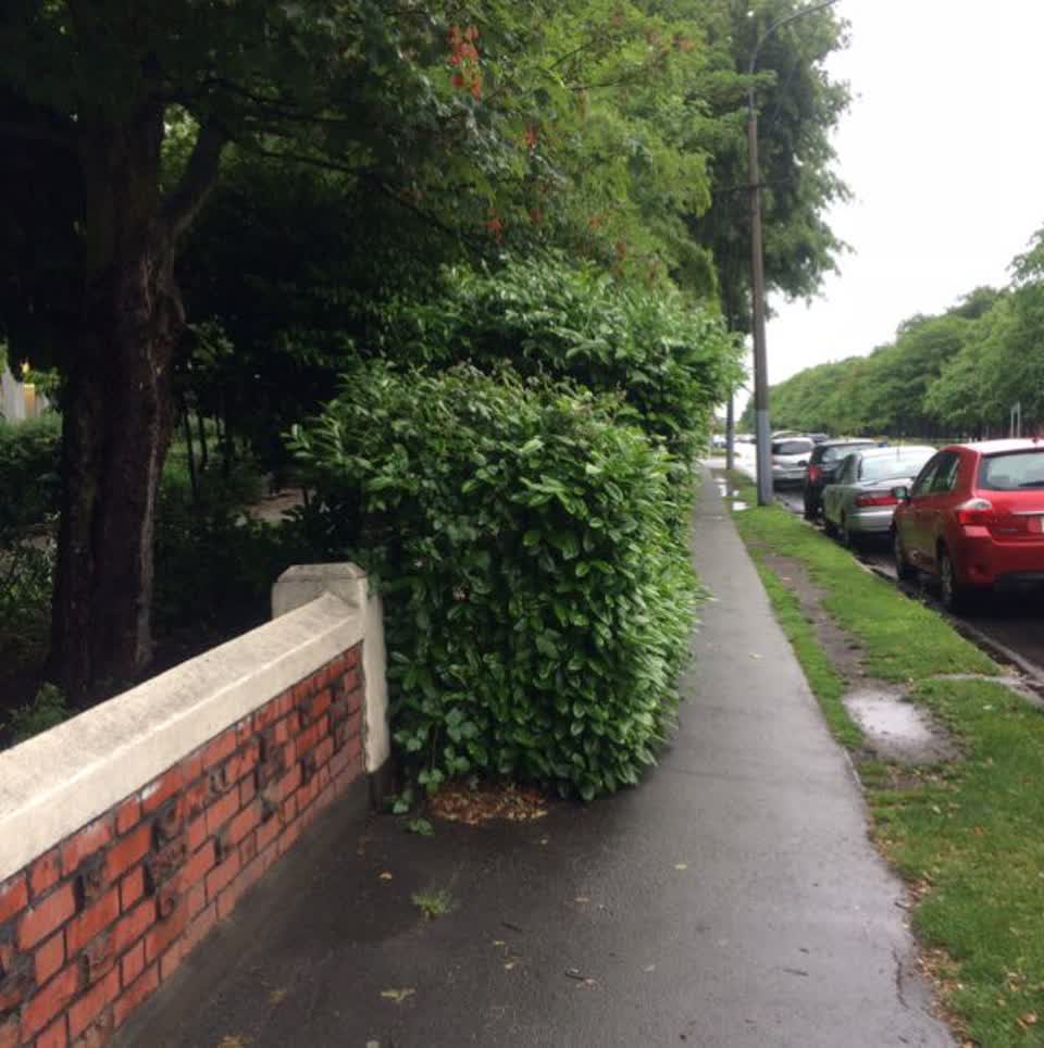The photograph attached to this roading/streets report