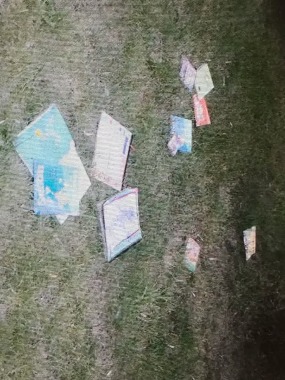 The photograph attached to this rubbish/recycling report
