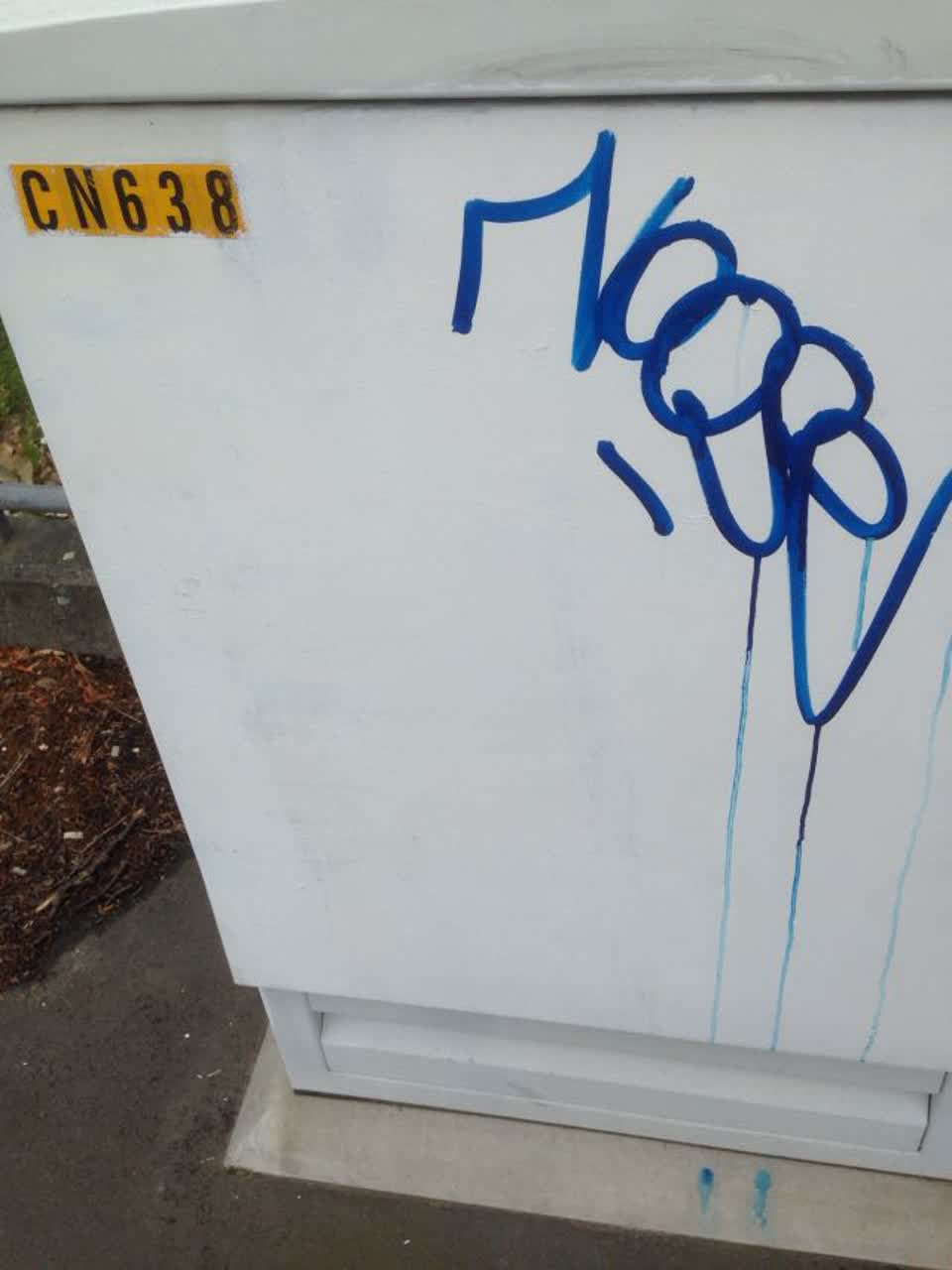 The photograph attached to this graffiti report