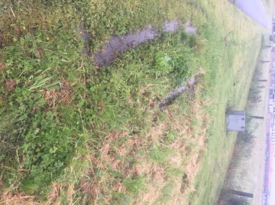 The photograph attached to this water supply report