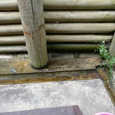 Water Supply, a report photo