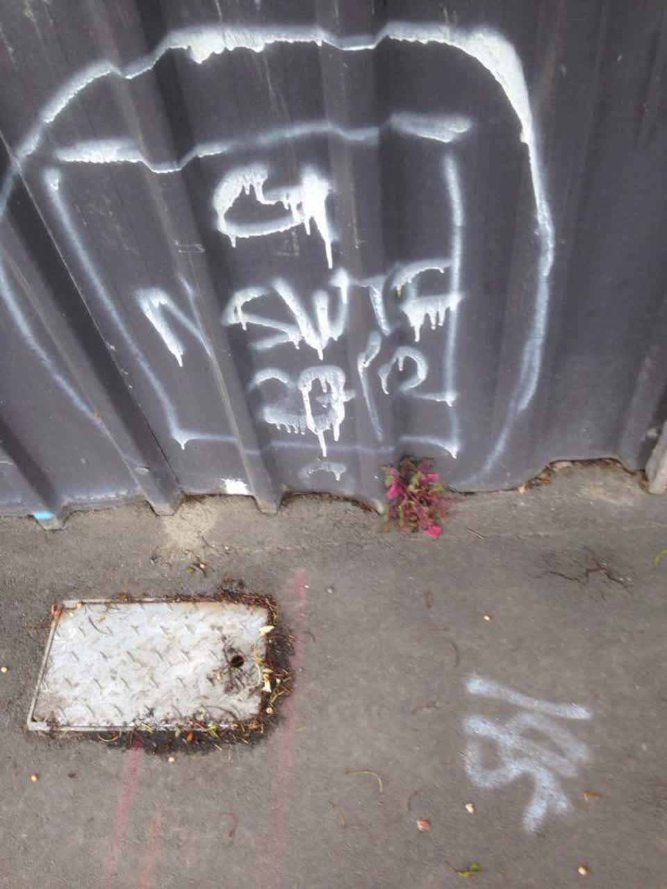 The photograph attached to this graffiti report