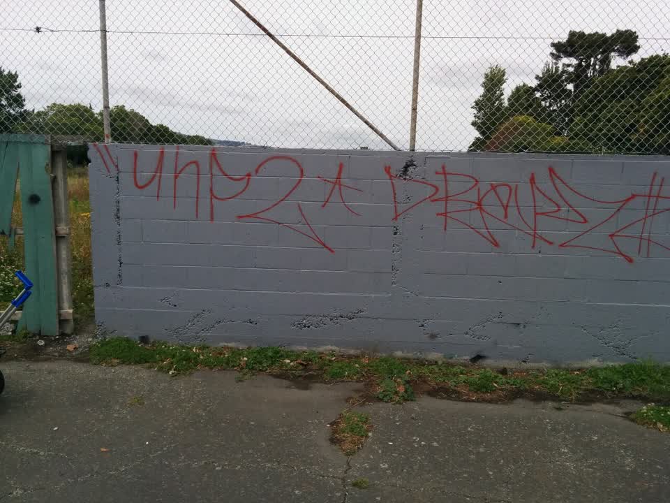 The photograph attached to this graffiti report