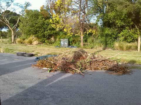 Rubbish/Recycling, a report photo