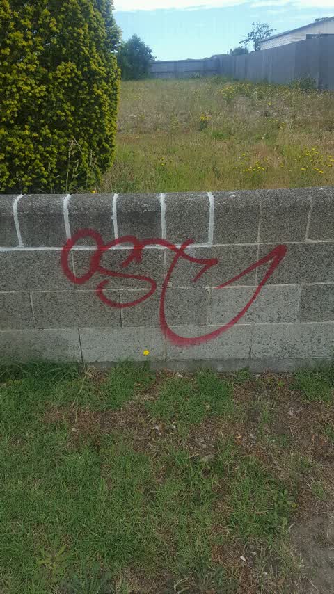 Graffiti, a report photo