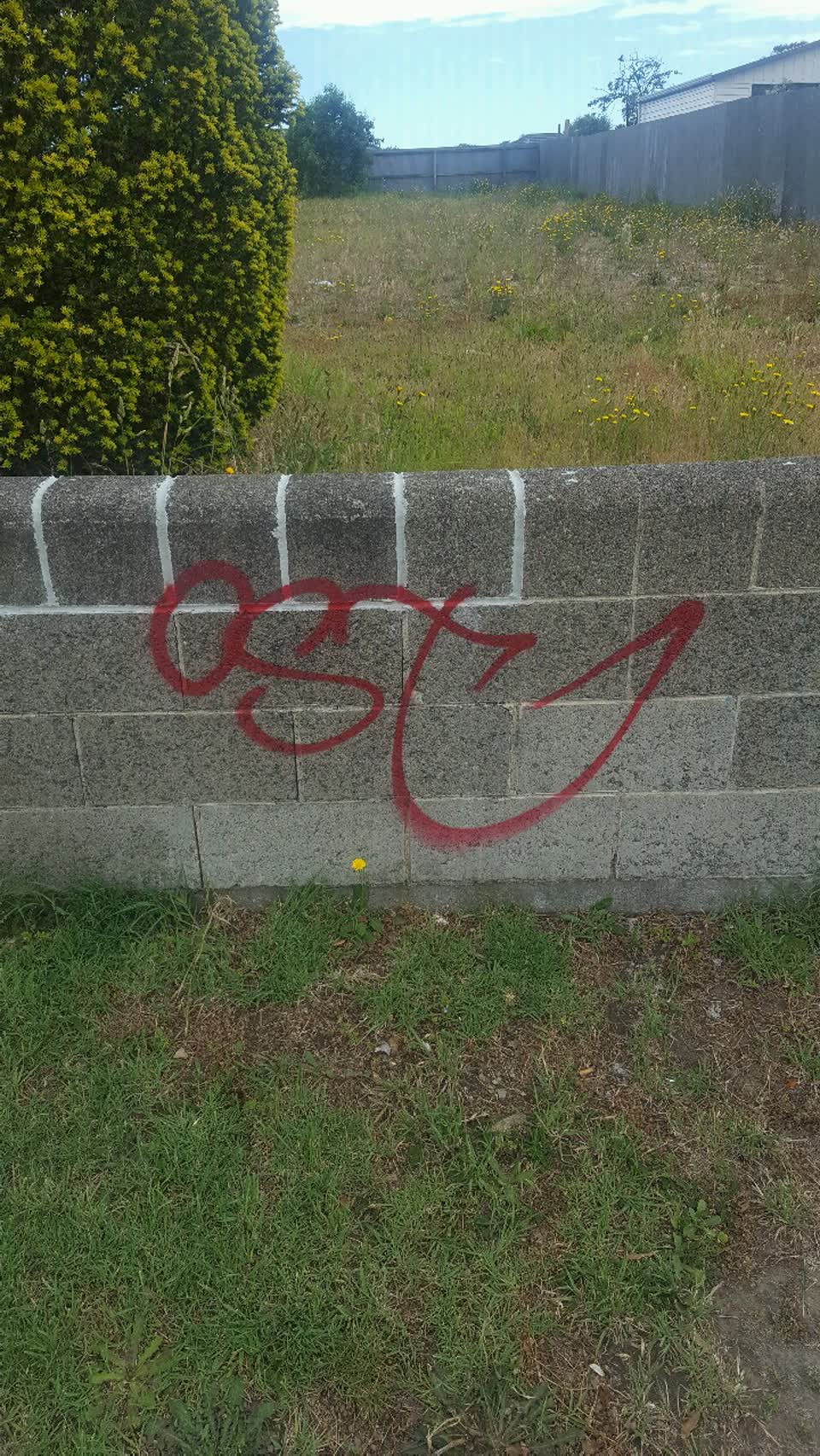 The photograph attached to this graffiti report
