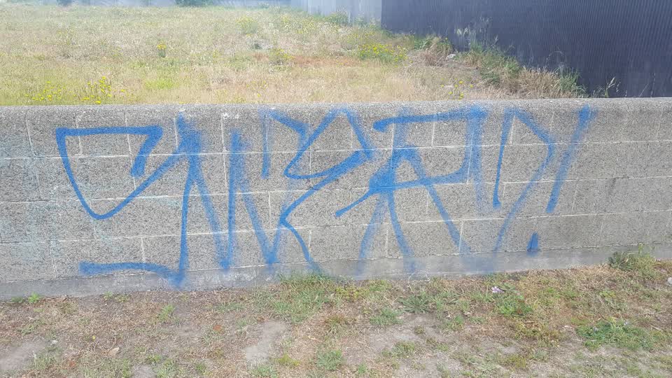 The photograph attached to this graffiti report