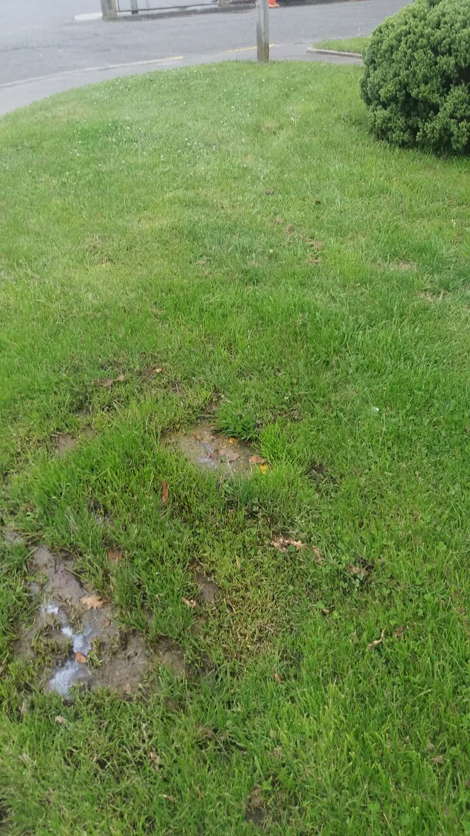 The photograph attached to this water supply report