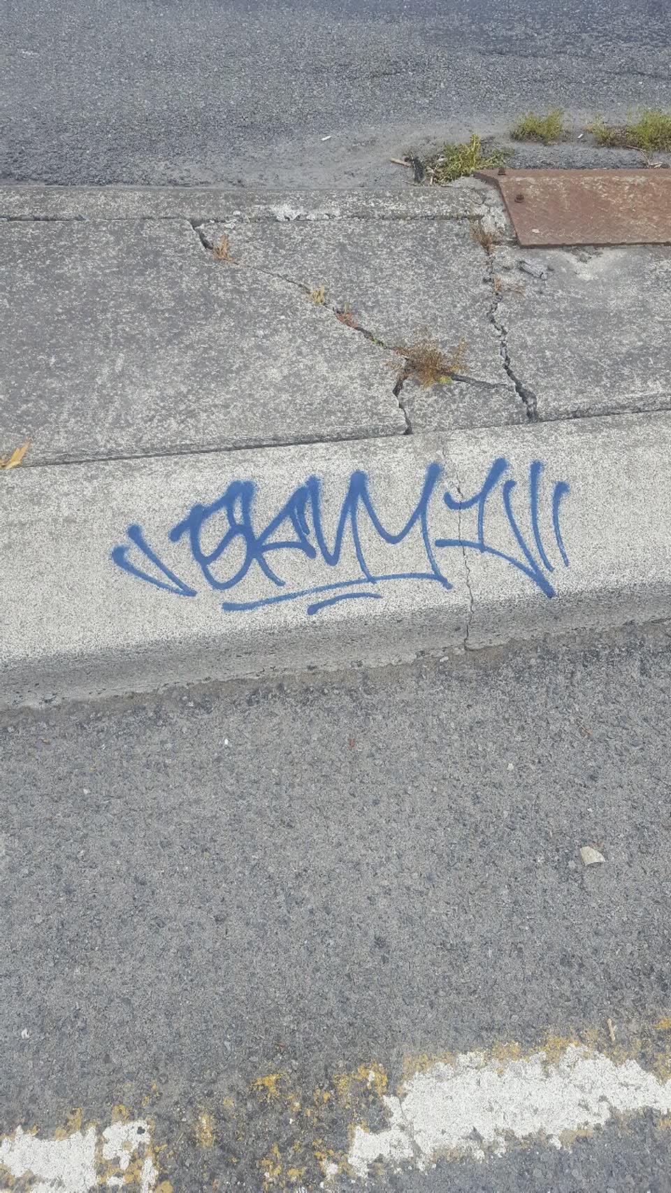 The photograph attached to this graffiti report