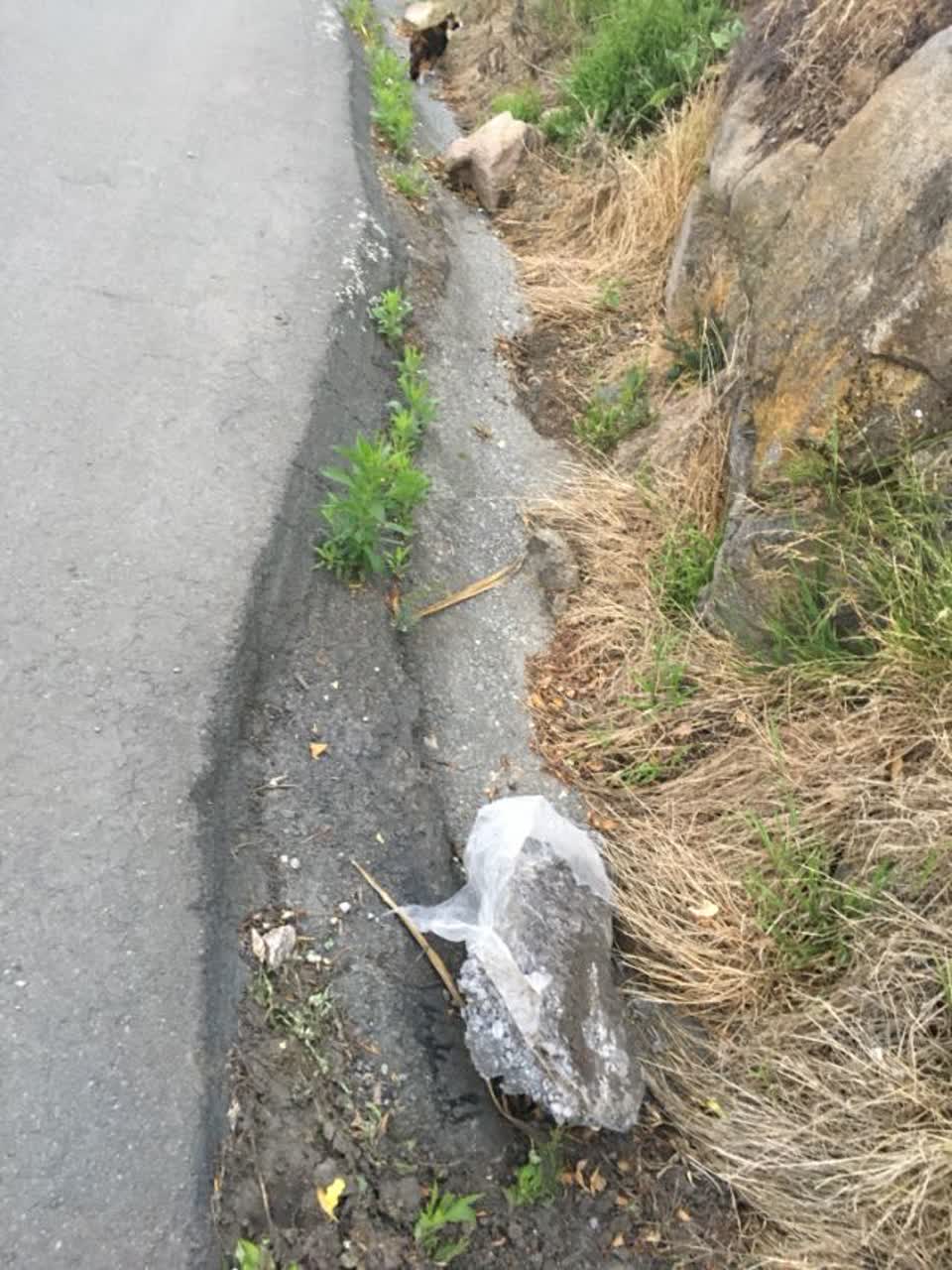 The photograph attached to this roading/streets report