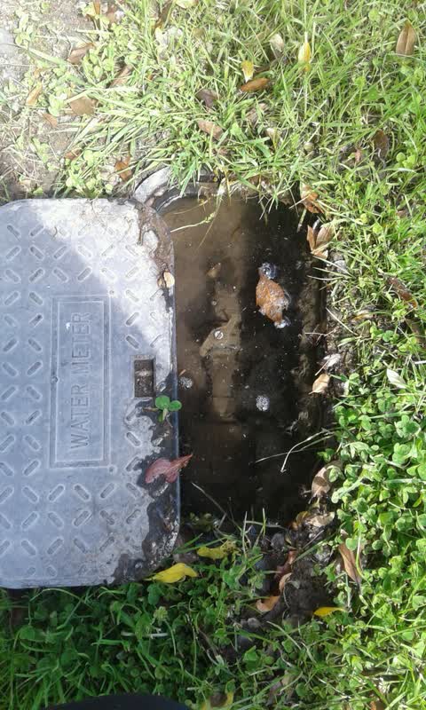 Water Supply, a report photo
