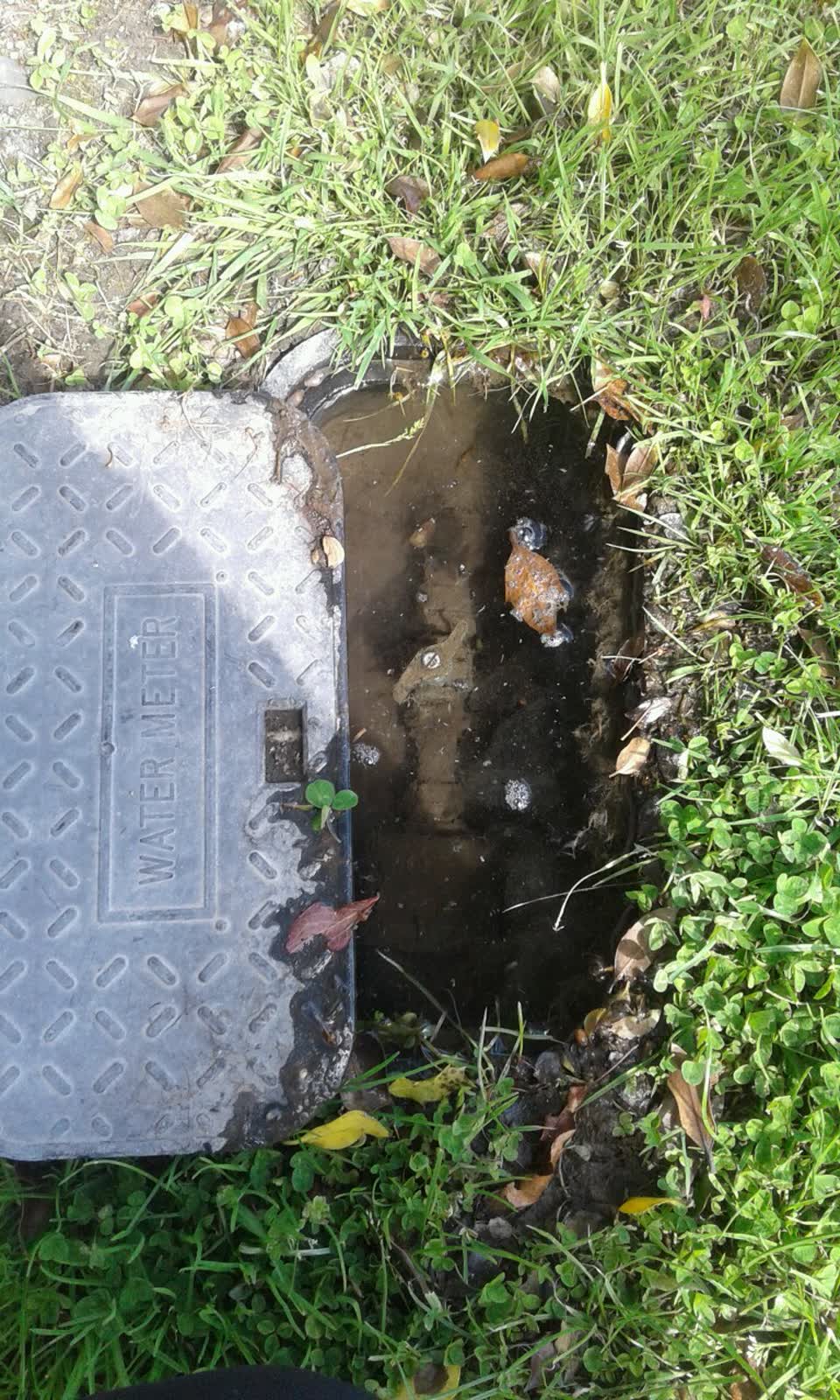 The photograph attached to this water supply report