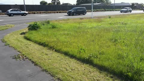 Roading/Streets, a report photo