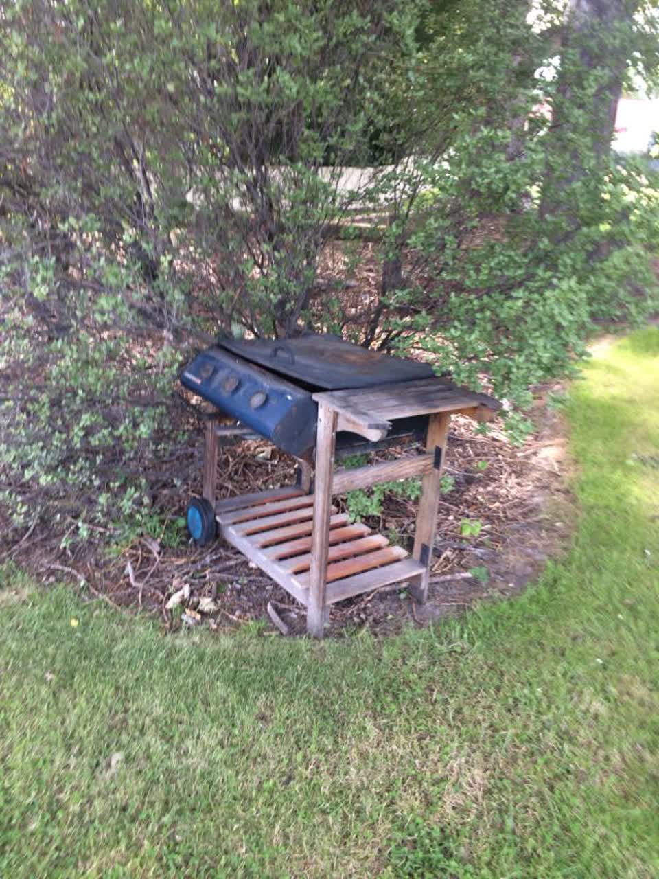 The photograph attached to this parks report