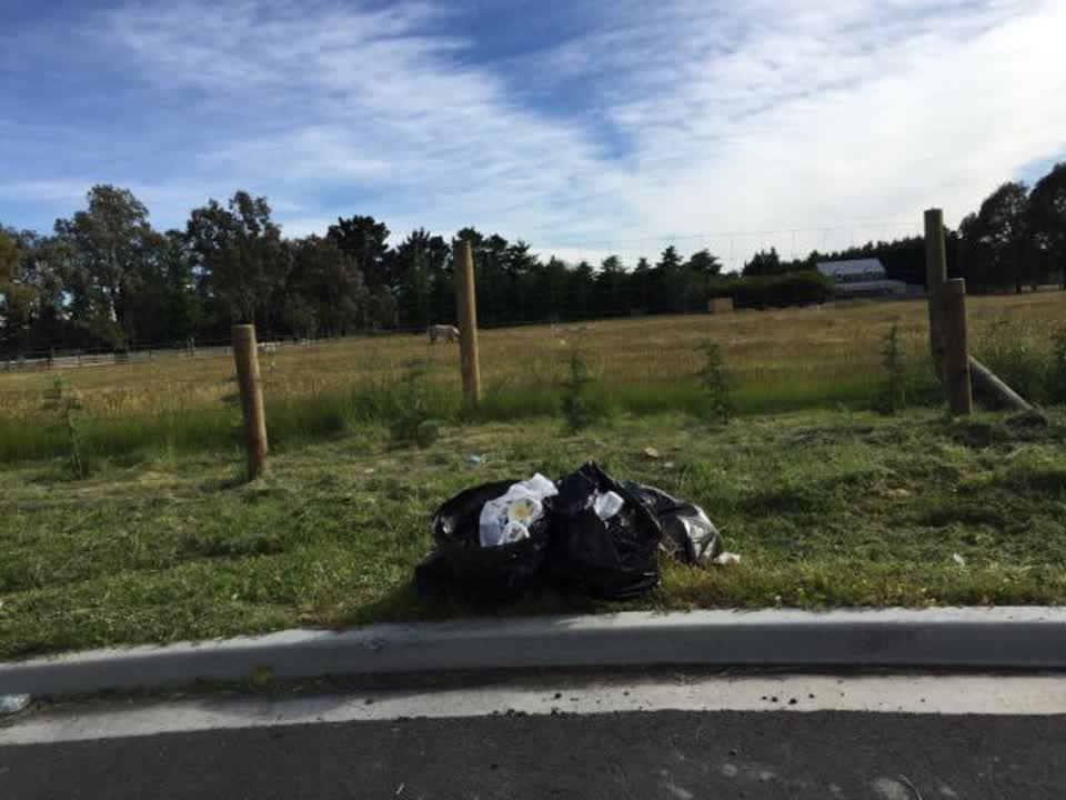 The photograph attached to this rubbish/recycling report