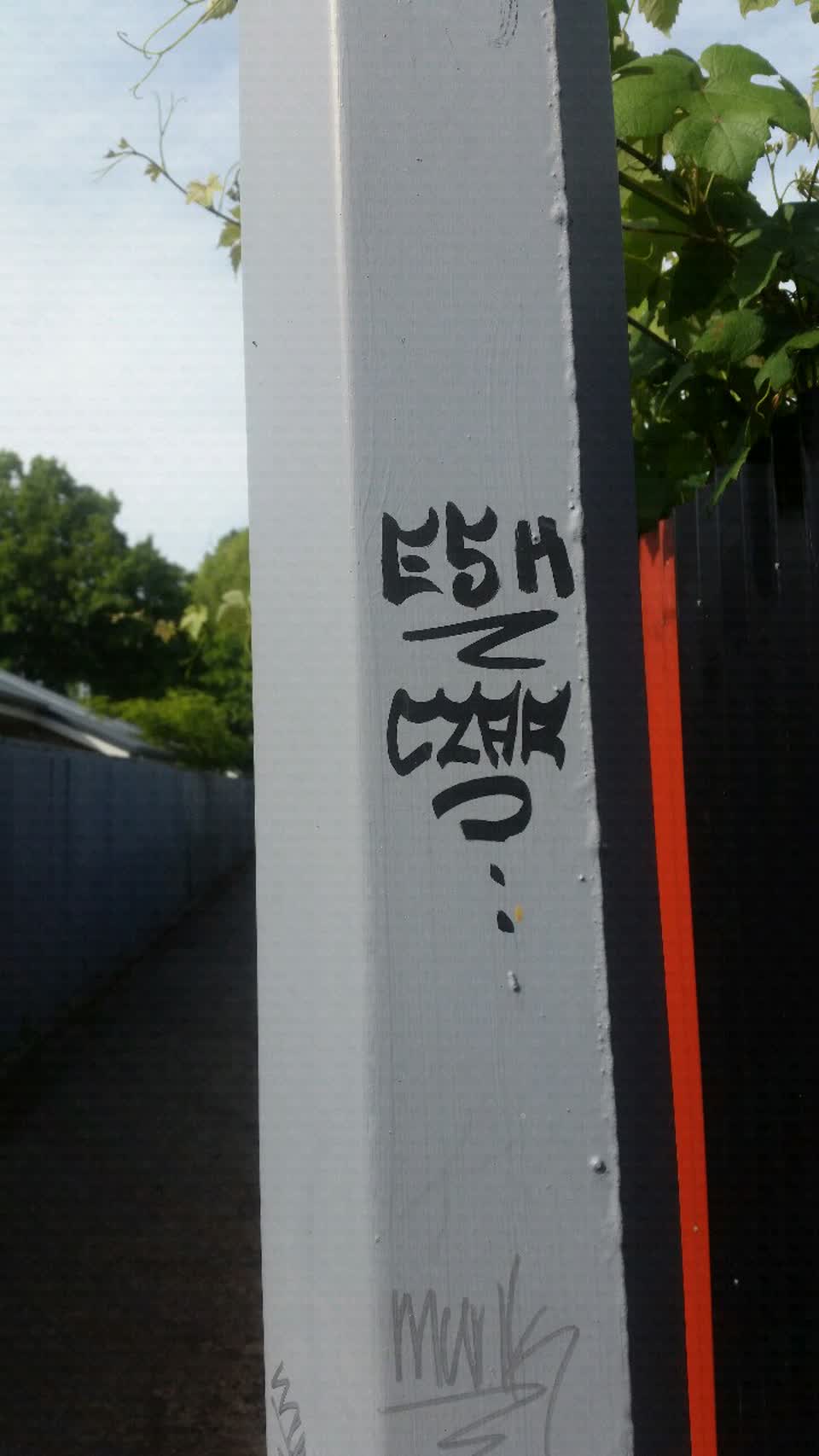 The photograph attached to this graffiti report