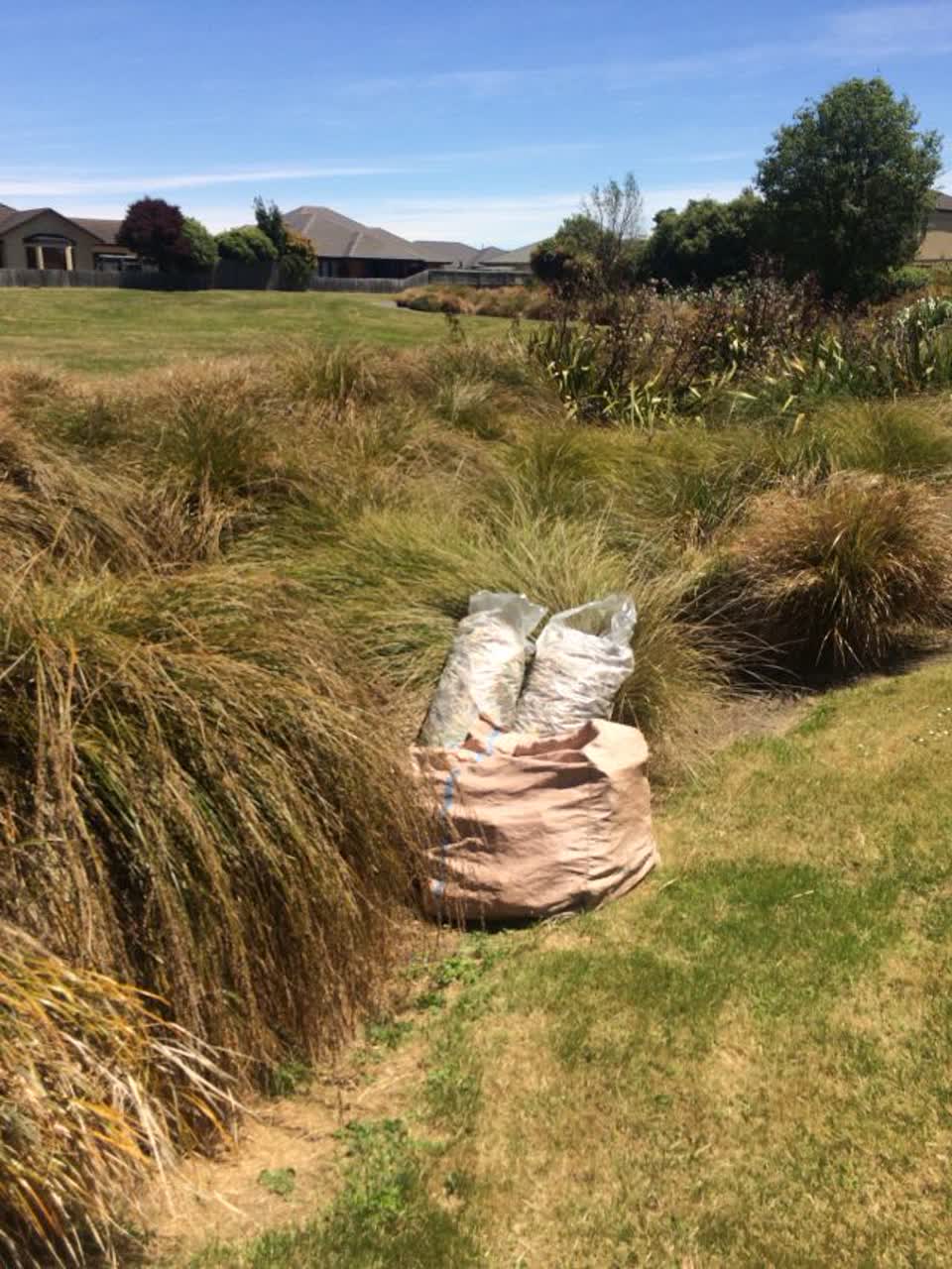 The photograph attached to this parks report