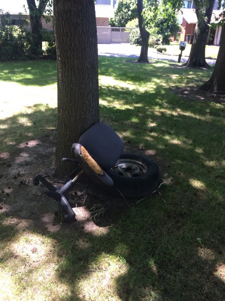 The photograph attached to this parks report